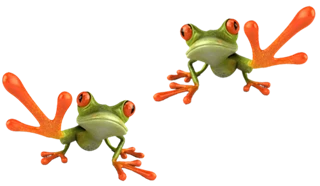 Frosch, Wiedererkennungsfigur Duo-Unterricht